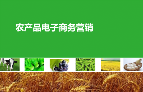 农业电商素材 农产品电子商务营销素材类.pptx